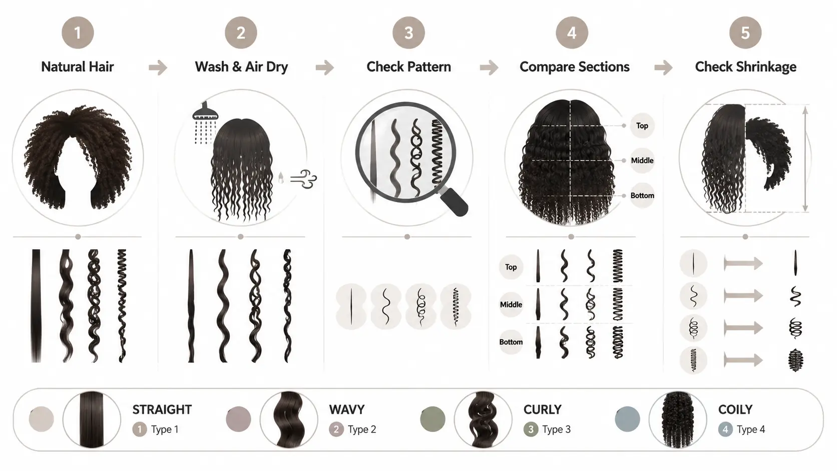 Infographic showing simple steps to identify hair type