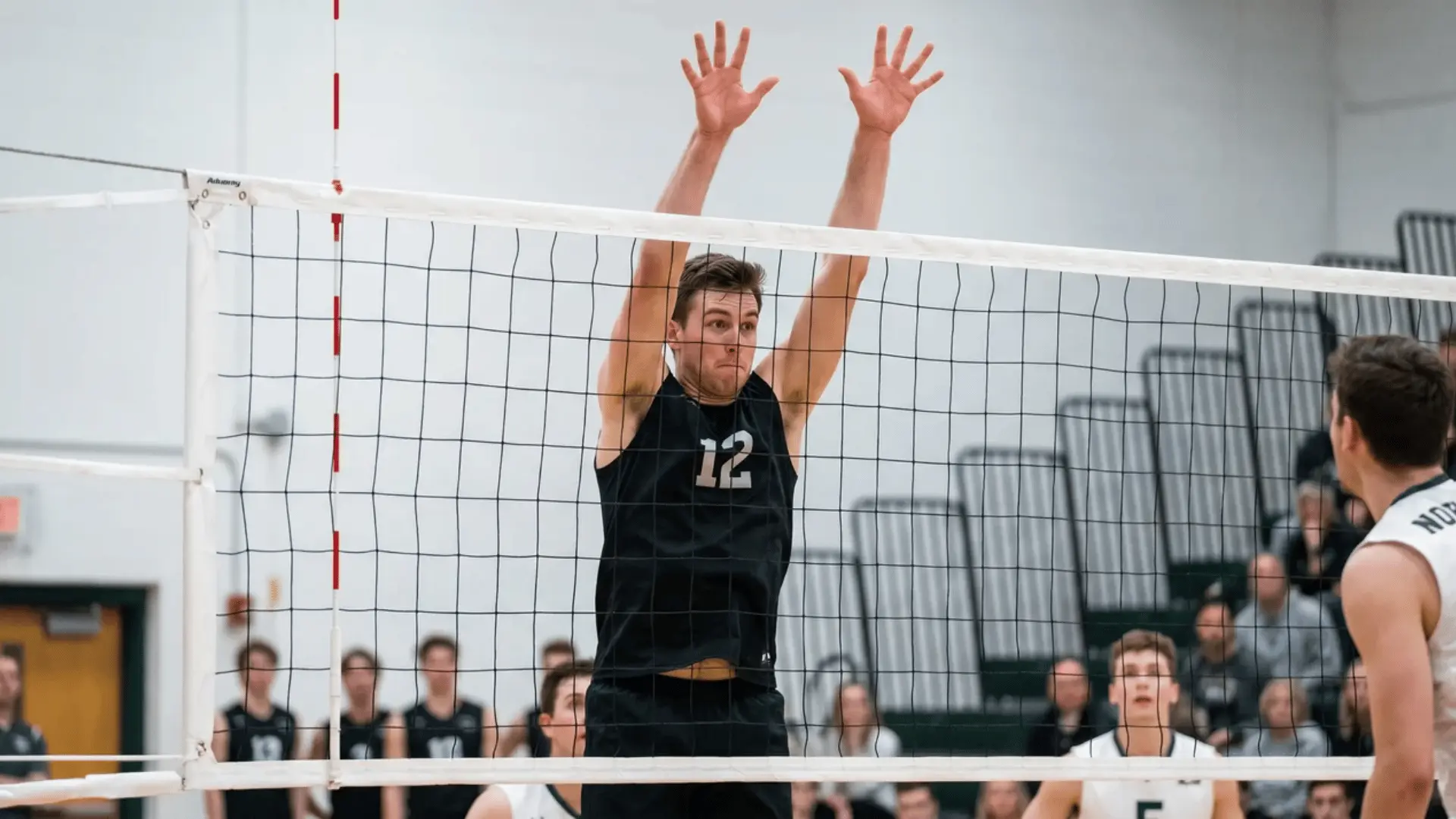 Middle blocker jumping at the net to block an incoming attack