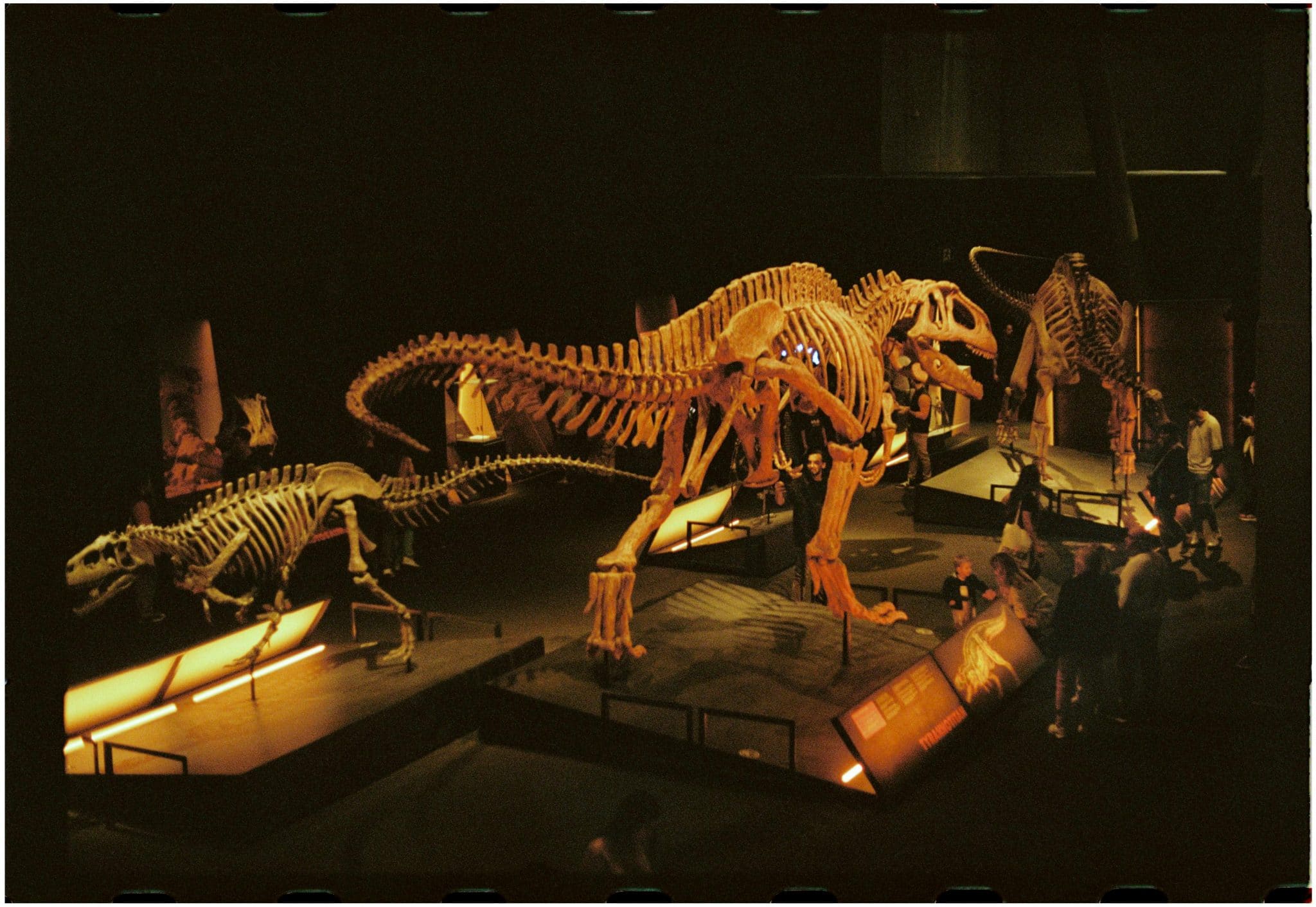 How Accurate Reconstructions Improve Modern Exhibition Experiences