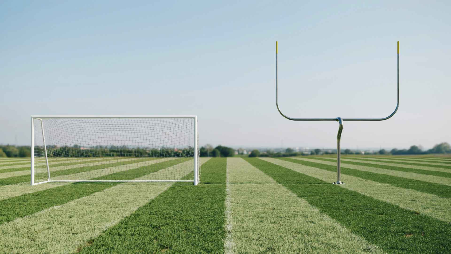 Soccer goal and football goalpost displayed side by side.