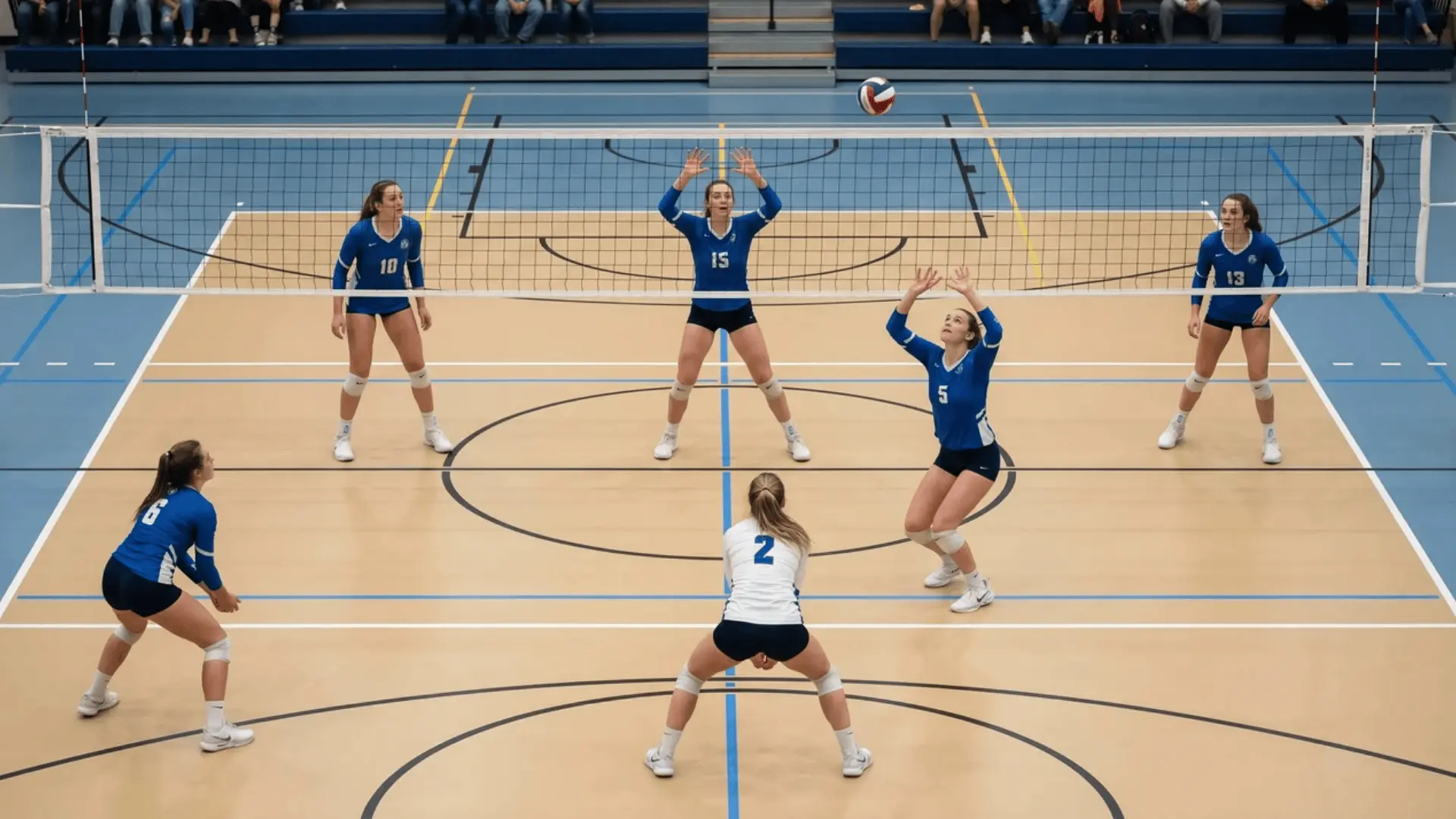 Volleyball team formation showing setter, outside hitter, opposite hitter, middle blocker, libero, and defensive specialist on court