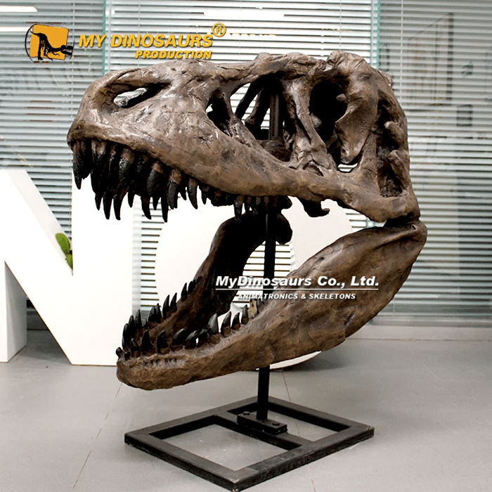 Why Scientifically Accurate Dinosaur Skull Reconstructions Are Essential for Modern Exhibitions