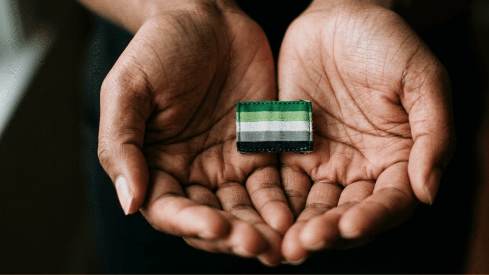 Cupped hands holding a small aromantic pride flag badge in warm natural light.