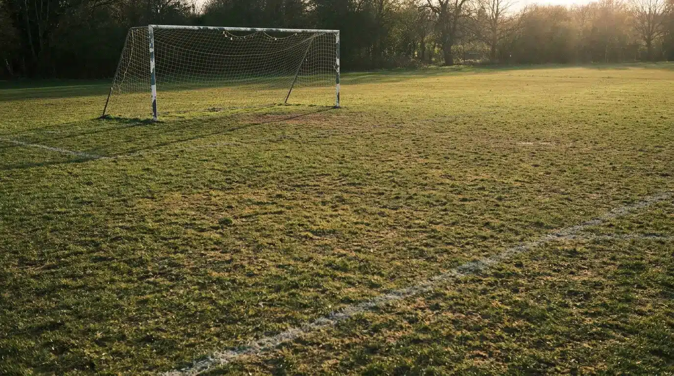 Soccer goal on a grassy field at sunset with trees in the background