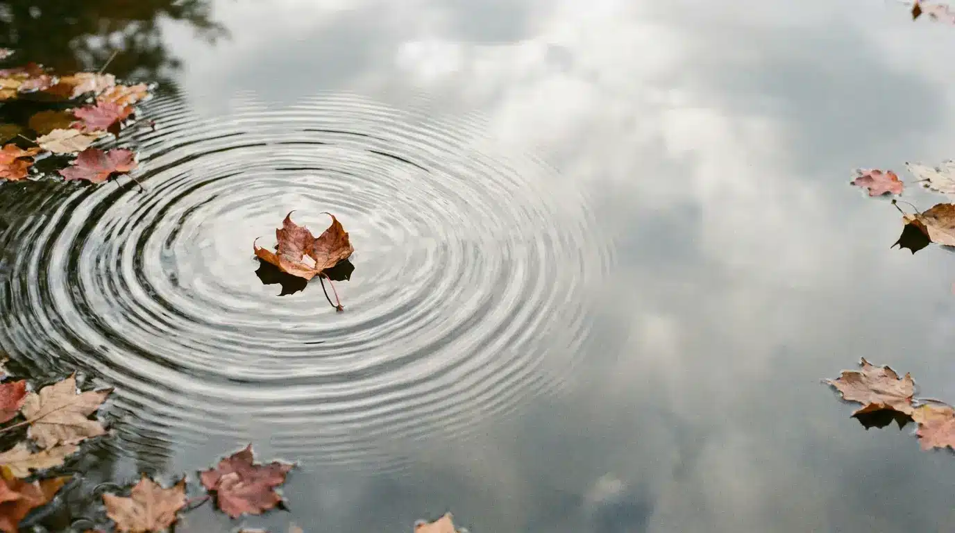 Autumn leaf creating ripples in calm water surrounded by floating leaves