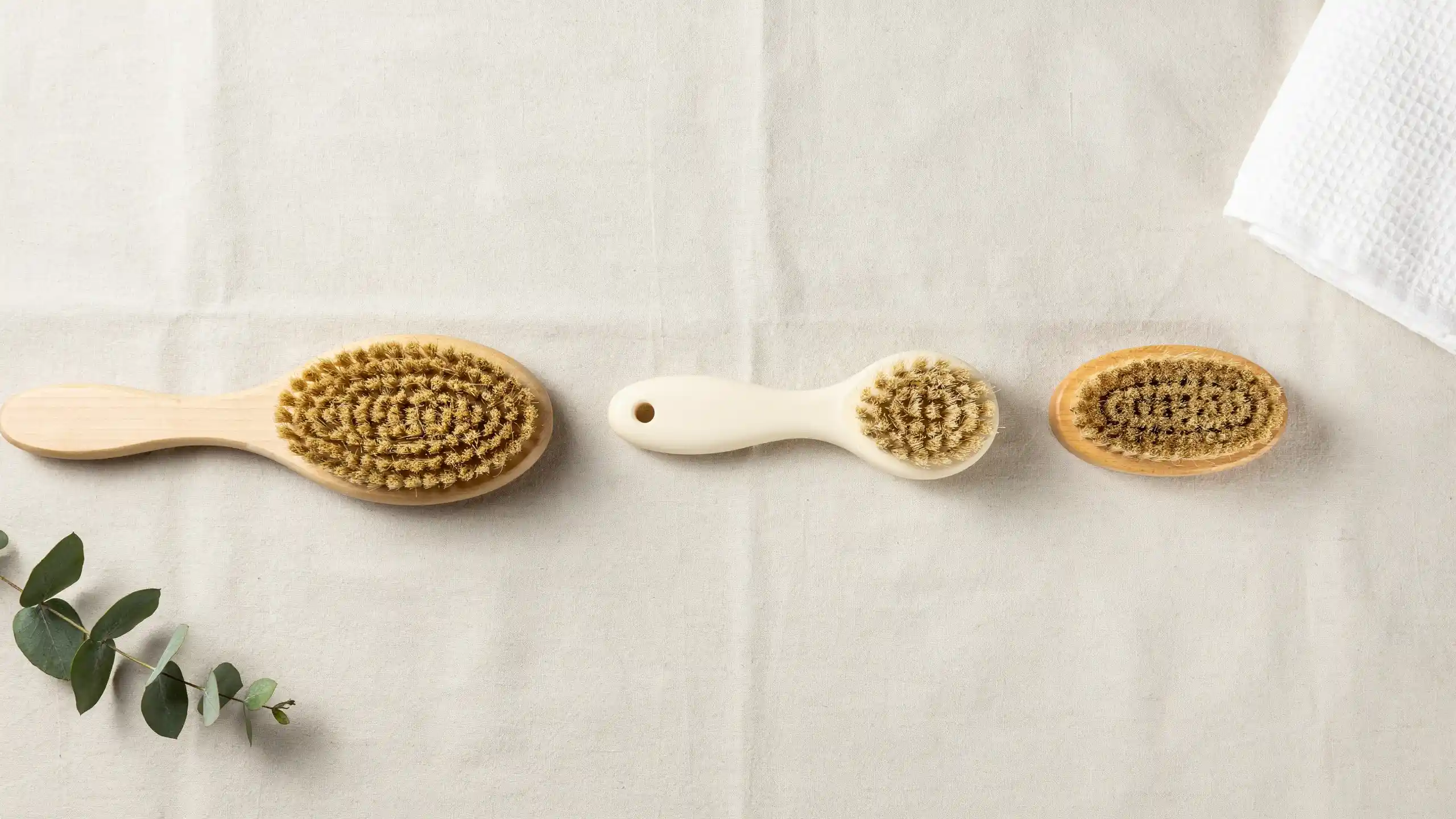Three types of dry brushes for skin, natural bristle, synthetic, and short-handle,