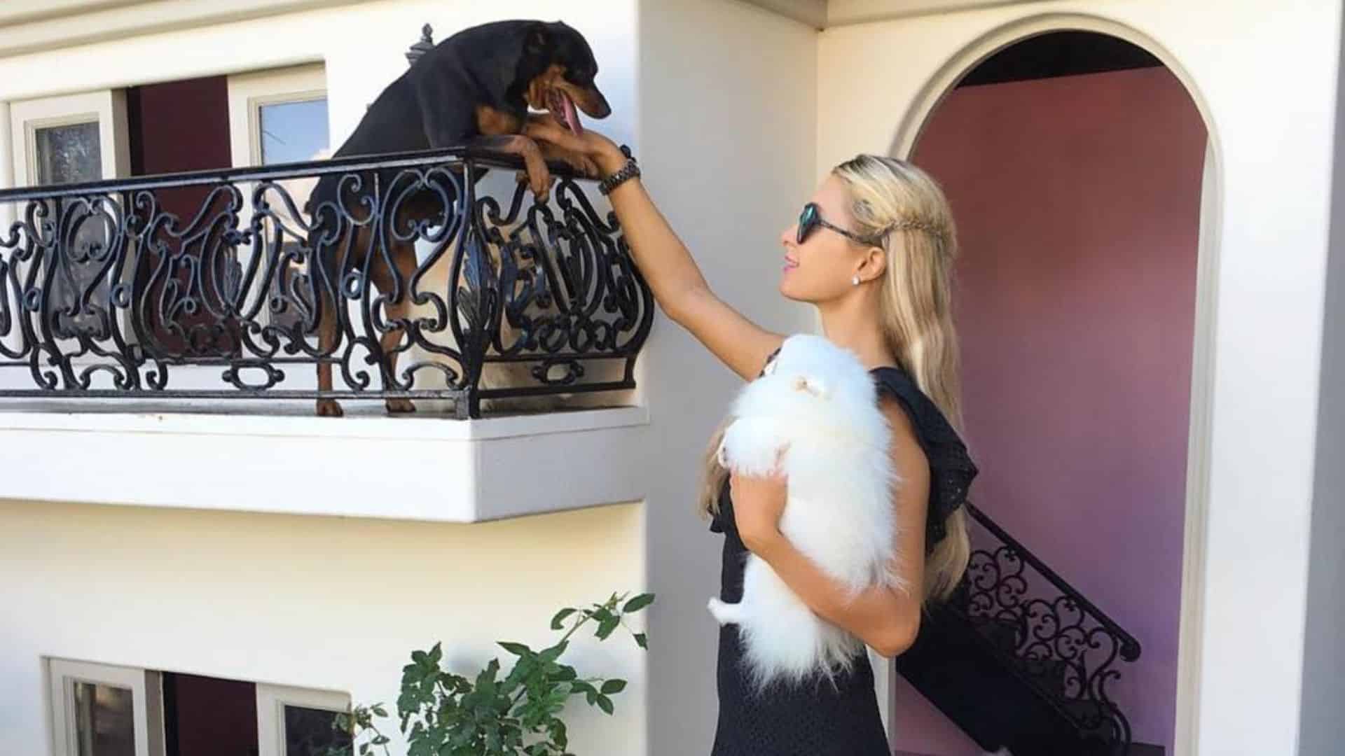 Paris Hilton standing outside a luxury home while holding a fluffy white dog and looking toward another pet