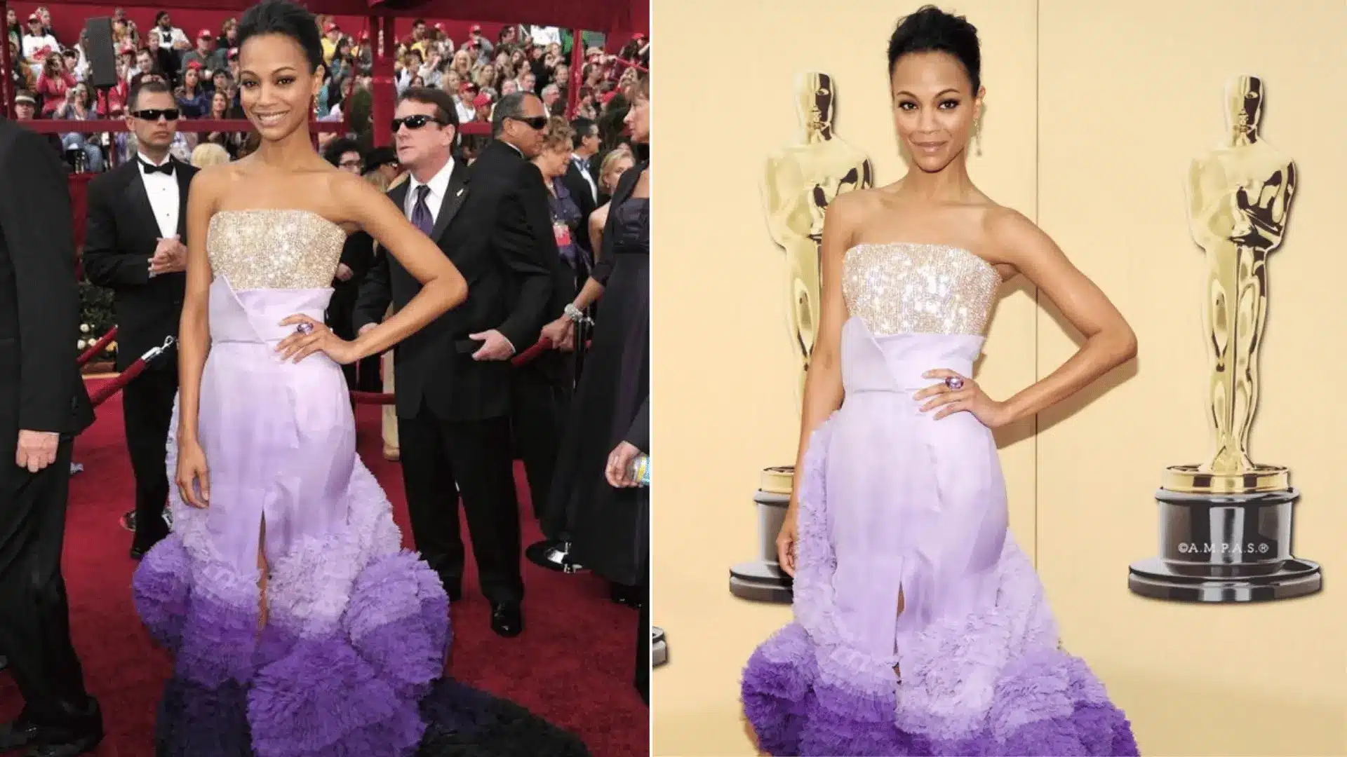 Zoe Saldaña wearing a purple gown by Givenchy Haute Couture at the Oscars 2010.
