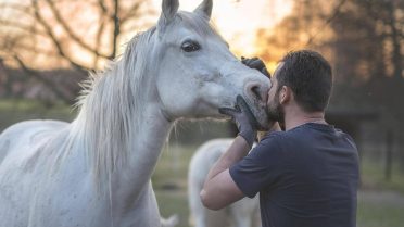 Local Spotlight: Rising Stars of the Horse Racing In Colorado