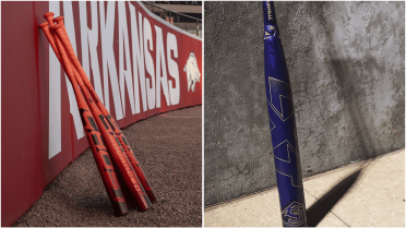 Choosing the Right Fastpitch Bat for Power Hitters