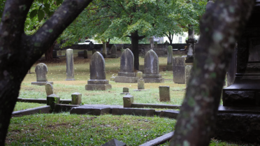 Dead Children's Playground: Truth vs Myth