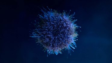 Targeted Therapy and Immunotherapy Open New Horizons in Stage 4 Breast Cancer Care