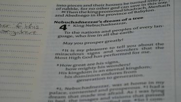 English Language Courses for International Students: Myths and Reality