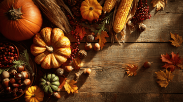 thanksgiving fun facts