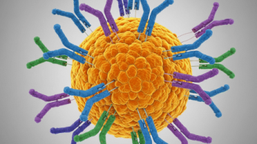 How Polyclonal Antibodies Aid in Pancreatic Cancer Research