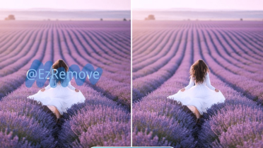 How to Remove Backgrounds from Images for Free & Use the Free Video Watermark Remover with EzRemove