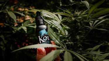 KOI CBD - Premium CBD mark: Your Ultimate Wellness Company