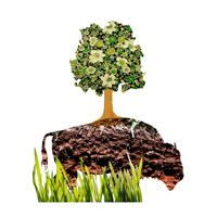 Boulder to celebrate mother nature
